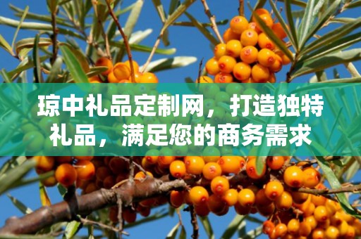 琼中礼品定制网，打造独特礼品，满足您的商务需求