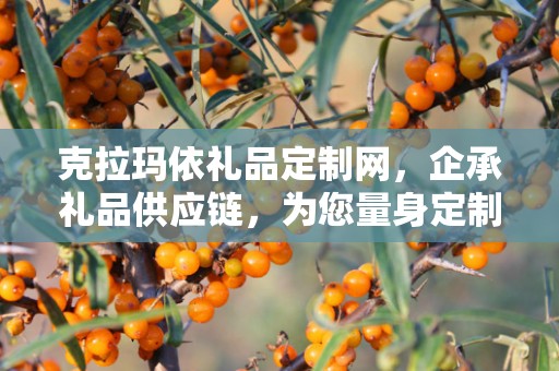 克拉玛依礼品定制网，企承礼品供应链，为您量身定制专属礼品