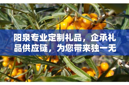 阳泉专业定制礼品，企承礼品供应链，为您带来独一无二的礼品体验