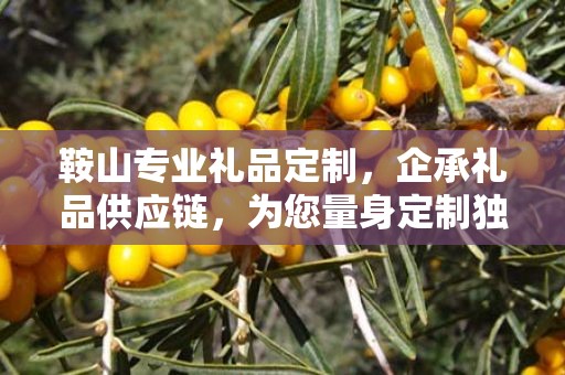 鞍山专业礼品定制，企承礼品供应链，为您量身定制独特礼品